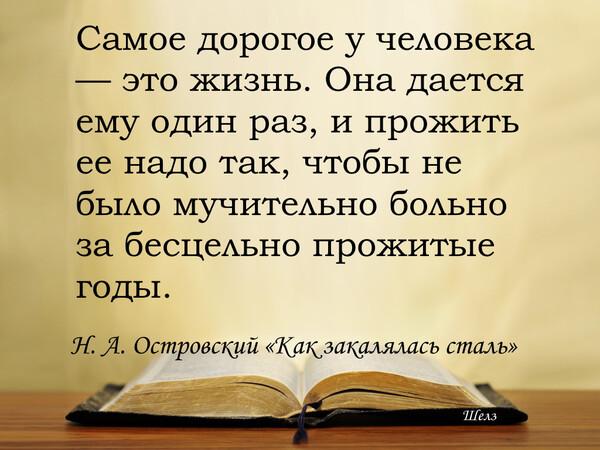 Как закалялась сталь Как закалялась сталь